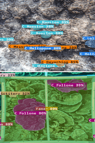 AI Model Example 1