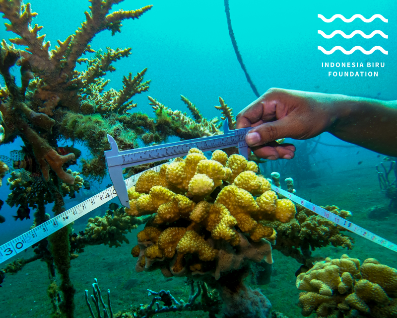 Restoration and Research