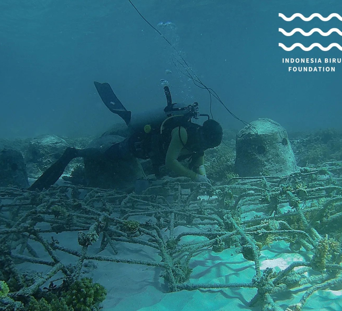 Monitoring and Maintenance